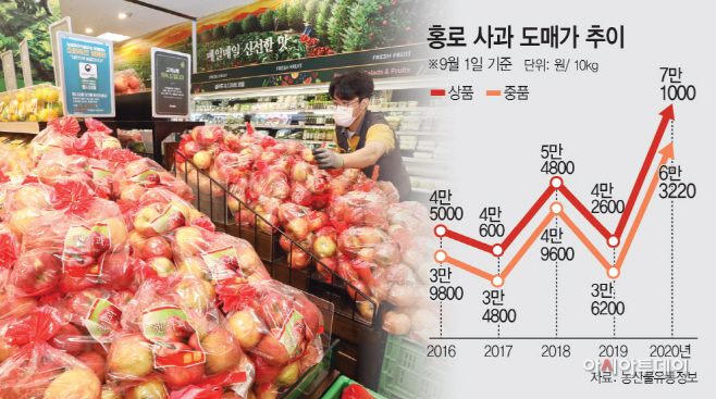 홍로사과가격 추이(아투)