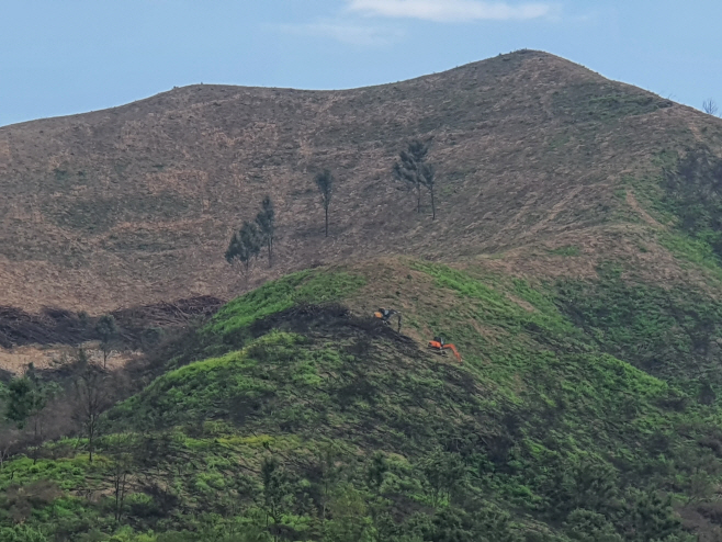 0907-16_안동시_산불피해지역_신속한_산림복구_추진