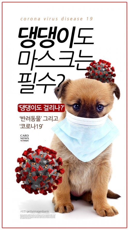 카드 뉴스 이미지