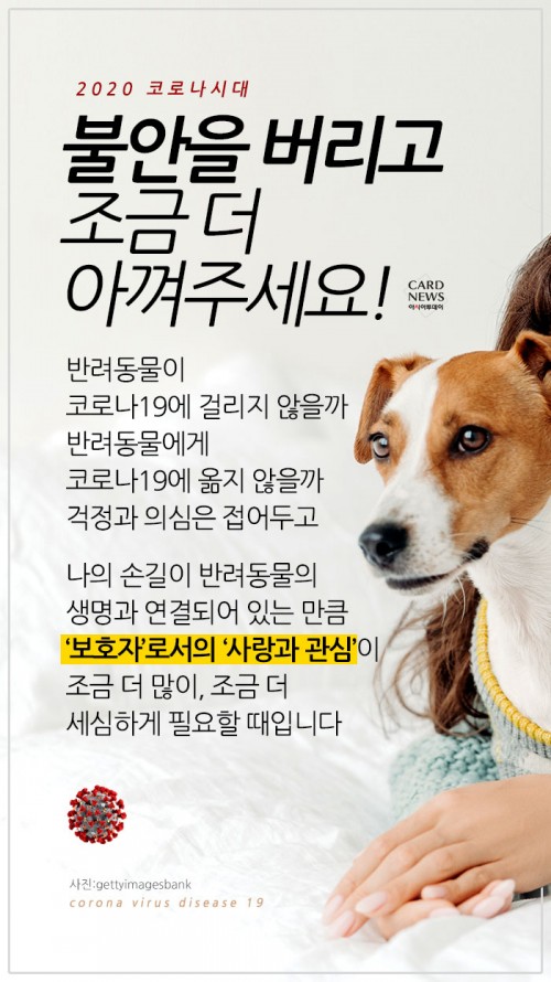 카드 뉴스 이미지