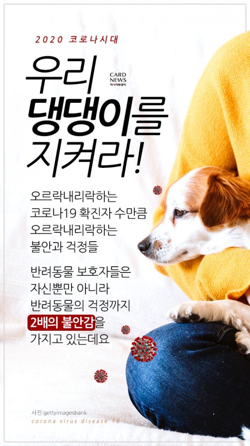카드 뉴스 이미지