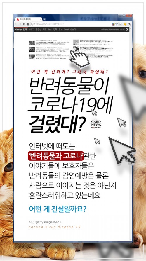 카드 뉴스 이미지