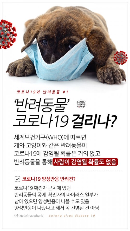 카드 뉴스 이미지