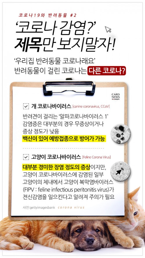 카드 뉴스 이미지