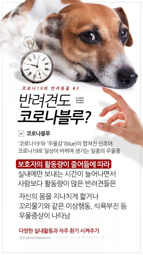 카드 뉴스 이미지