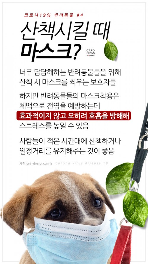 카드 뉴스 이미지