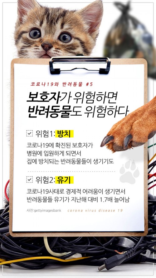 카드 뉴스 이미지