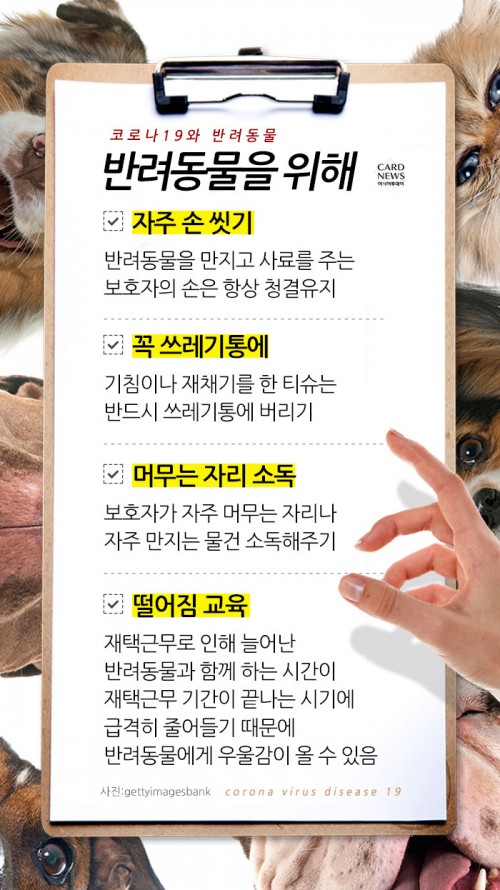 카드 뉴스 이미지