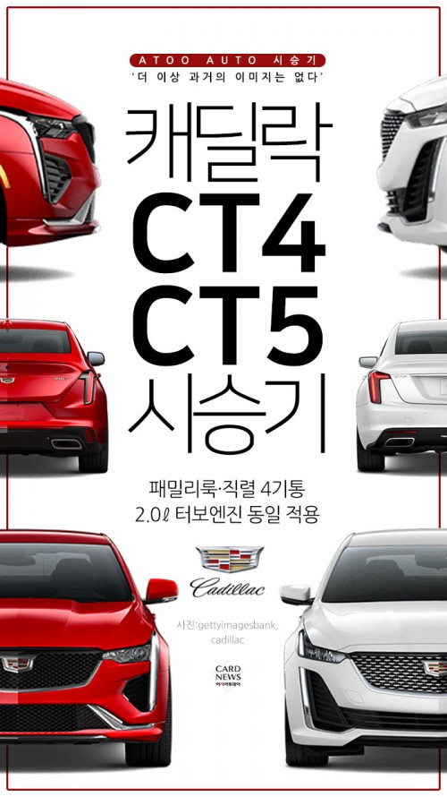 카드 뉴스 이미지