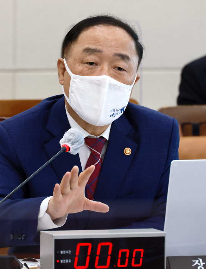 홍남기 국정감사