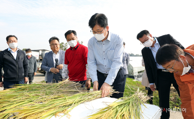 벼 드론직파 수확 연시회3