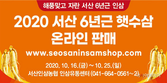 서산 6년근 가을 햇수삼 온·오프라인 할인 판매