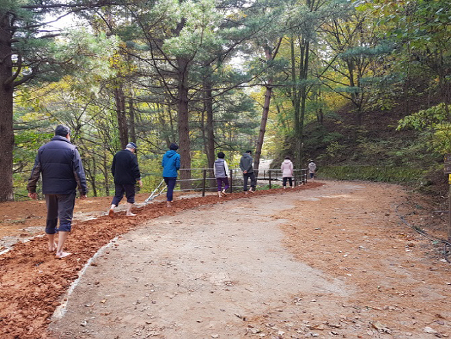휴양림 이용객들이 황토길