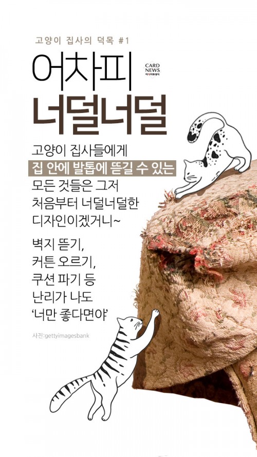 카드 뉴스 이미지