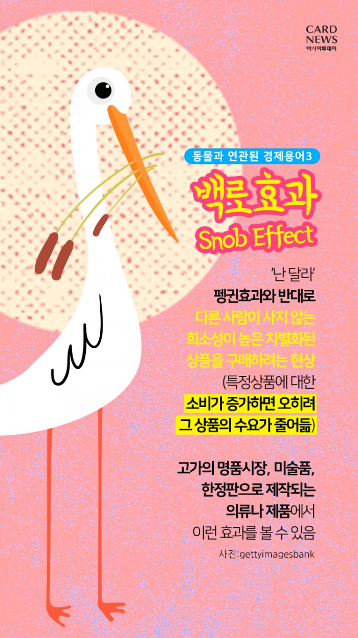 카드 뉴스 이미지