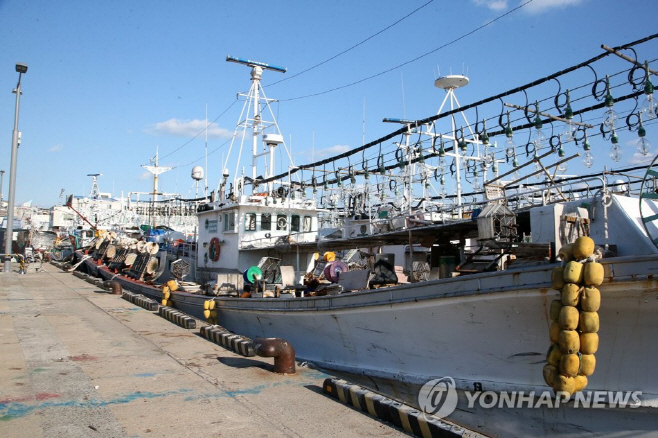오징어잡이배 연합사진