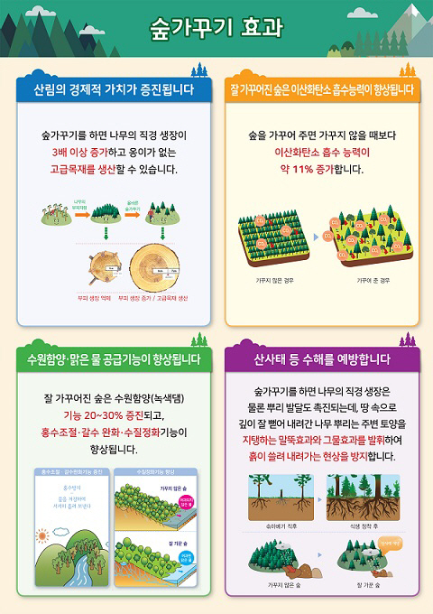 숲가꾸기의 효과