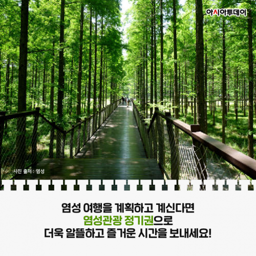 카드 뉴스 이미지