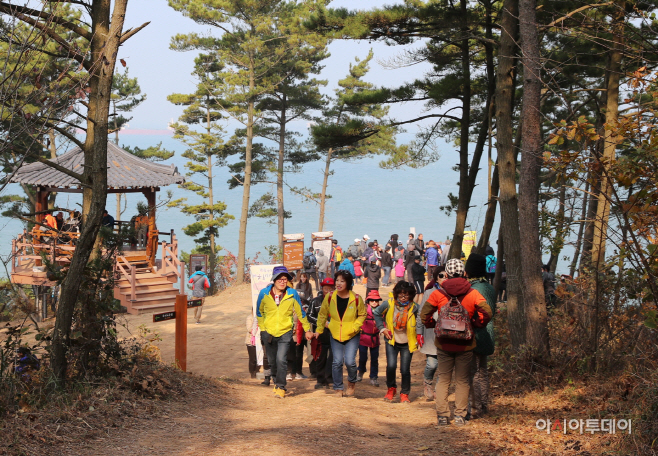 태안군, 28일 솔향기길 축제 개최
