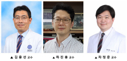 김중선 교수 연구팀