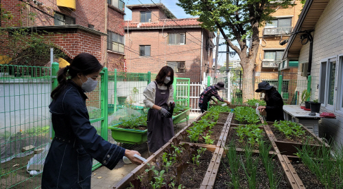 싱싱텃밭 생활원예치유 프로그램