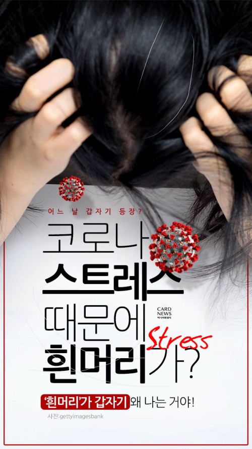 카드 뉴스 이미지