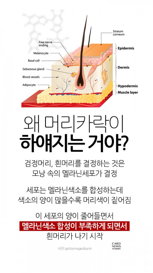 카드 뉴스 이미지