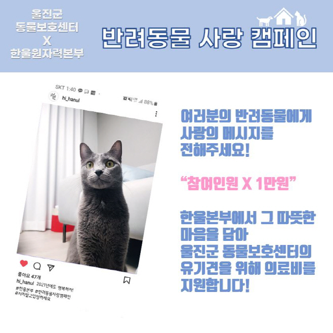 한울본부 반려동물 사랑캠페인 포스터