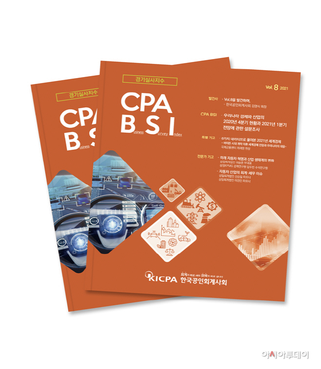 CPA BSI Vol.8 책자 표지