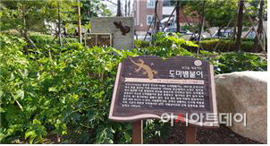 시청
