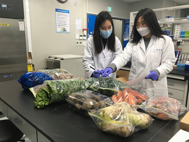 세종보건환경연구원들이 학교급식 식재료를 검사하고 있는 모습