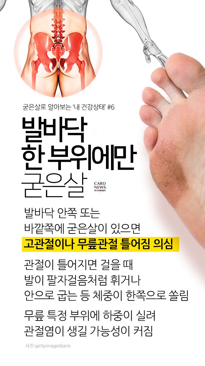 카드 뉴스 이미지