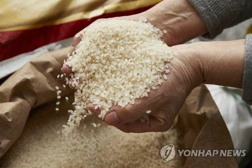 쌀 연합자료