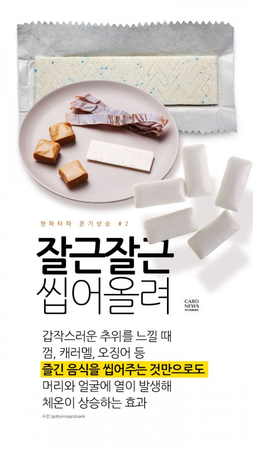 카드 뉴스 이미지