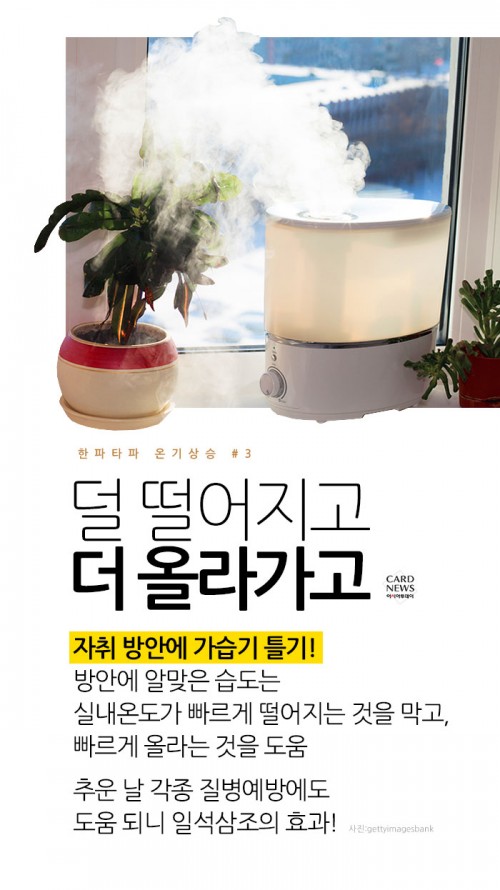 카드 뉴스 이미지