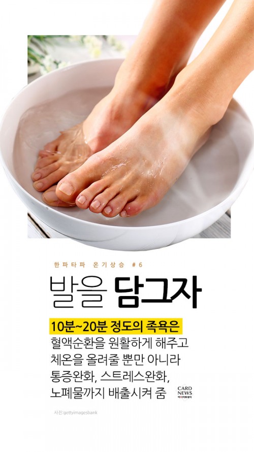 카드 뉴스 이미지