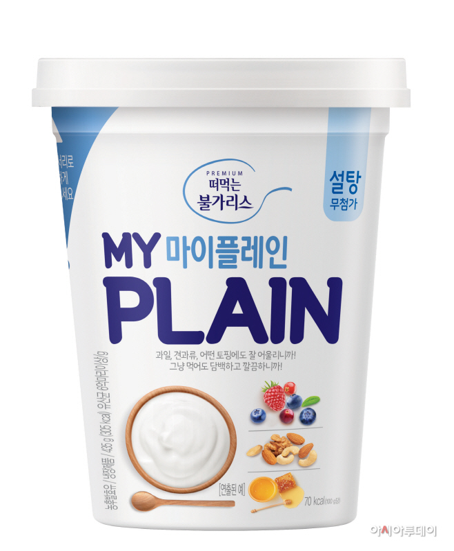 참고사진_마이 플레인 이미지