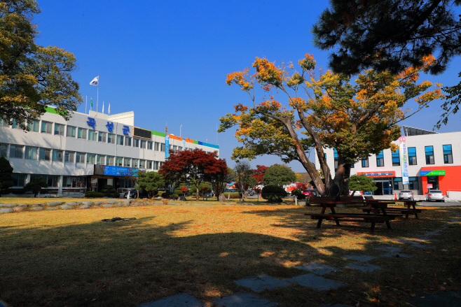 곡성군청사1