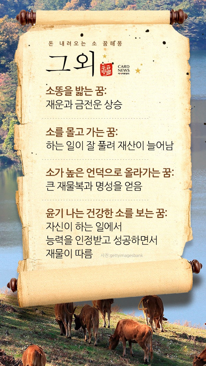 카드 뉴스 이미지