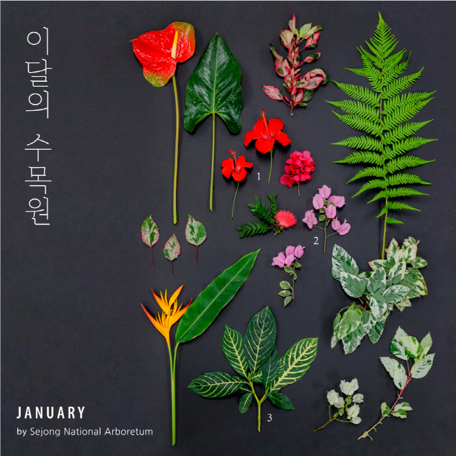 이달의 수목원 이미지