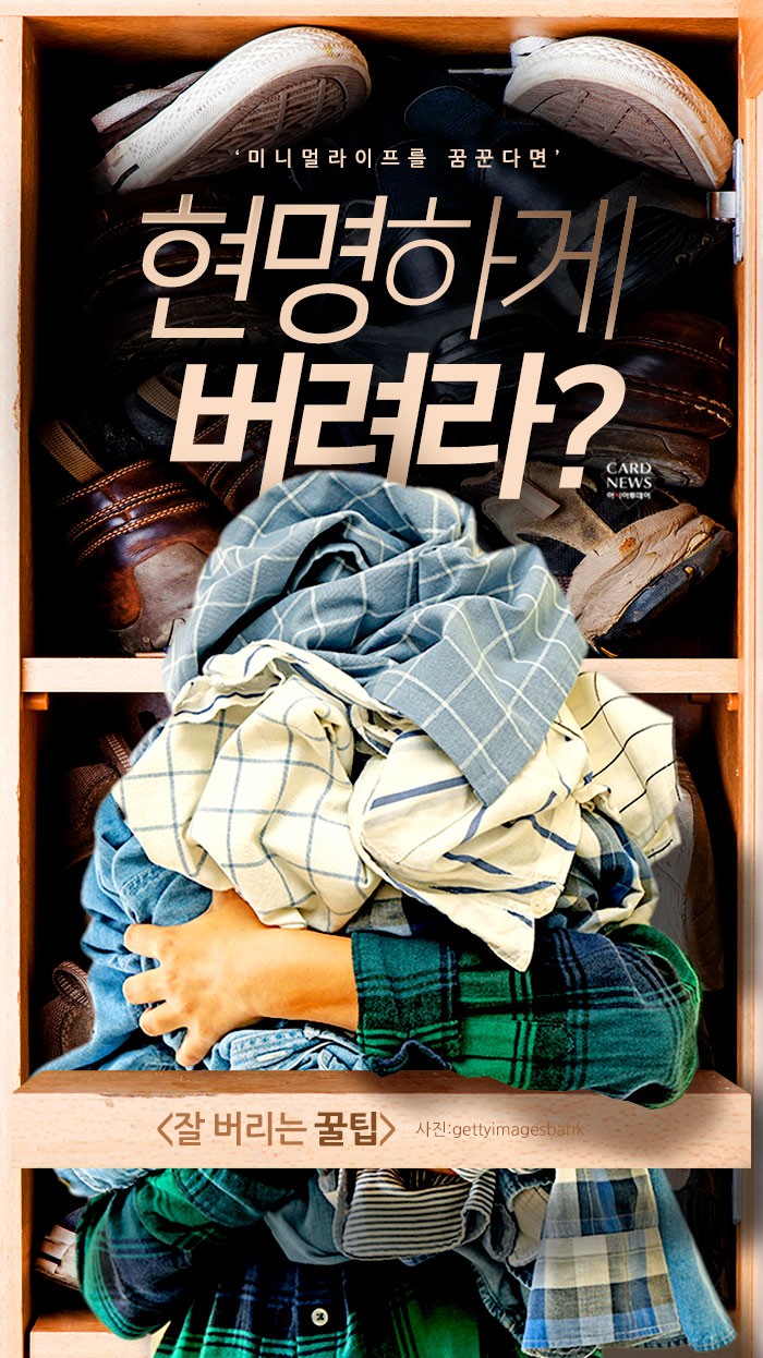 카드 뉴스 이미지