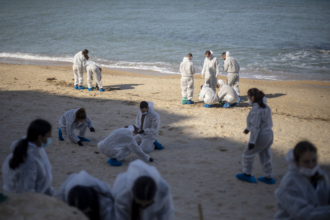 Israel Oil Spill <YONHAP NO-1461> (AP)