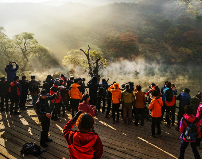 주산지 테마파크 조성
