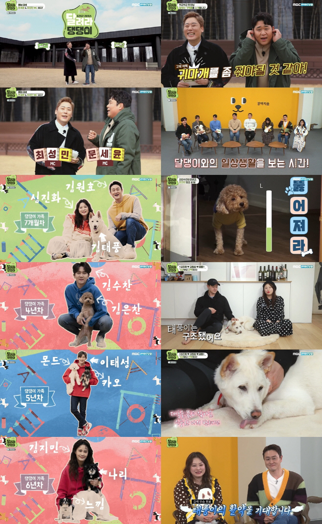 달려라 댕댕이
