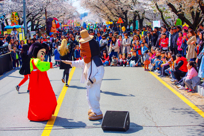 0310-2_안동벚꽃축제_취소-2019년_벚꽃_축제_사진_(1)