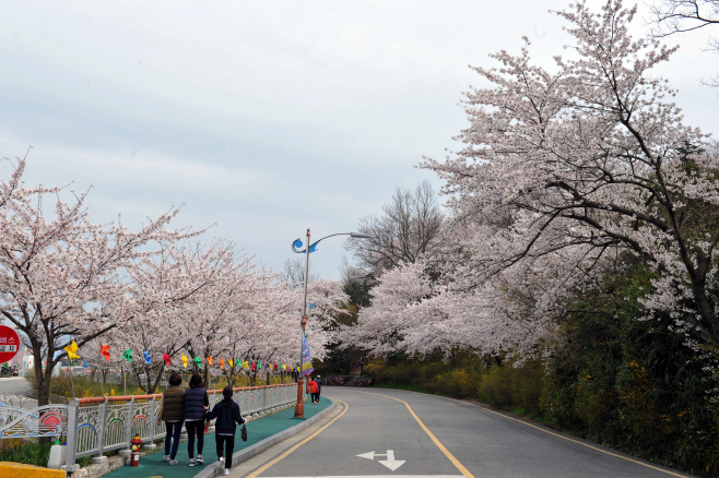 유달산 봄 축제 전면 취소