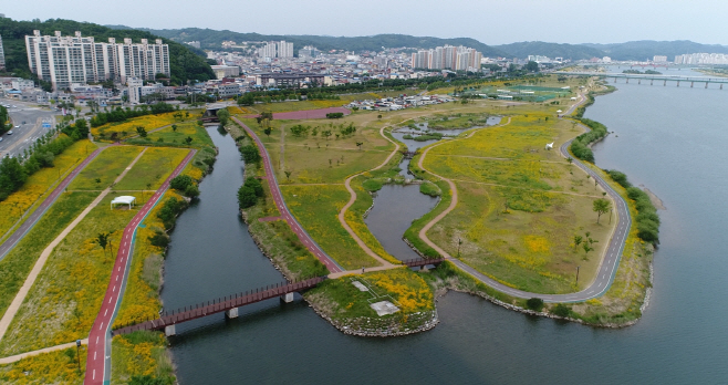 0314-1_안동시_낙동강_경관초화단지_조성사업_추진-전경사진