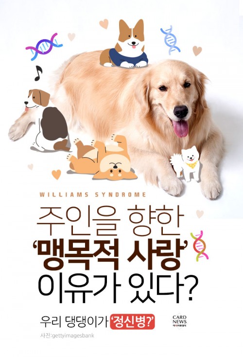 카드 뉴스 이미지
