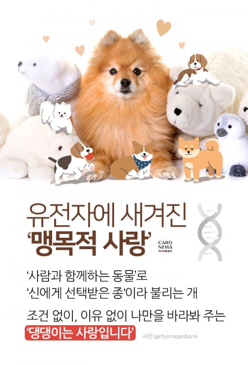 카드 뉴스 이미지
