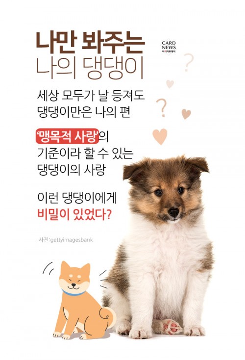 카드 뉴스 이미지